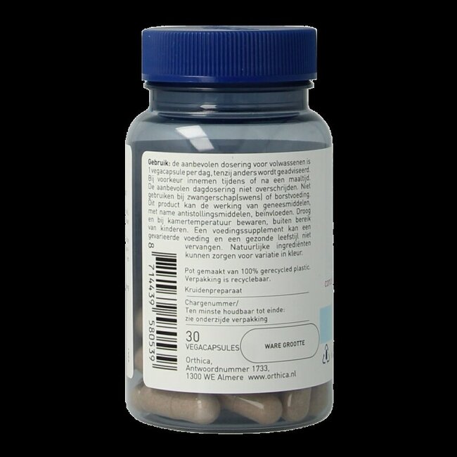 Ginkgo 30 gélules végétales