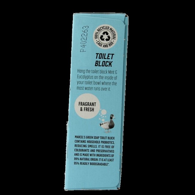 Bloc WC menthe & eucalyptus 35 g