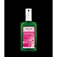 Wilde rozen deodorant 100 Milliliter