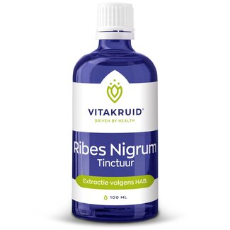 Vitakruid Ribes Nigrum Zwarte bes tinctuur 1:10 100 Milliliter