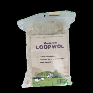 Wanderlust Loopwol 40 Gram