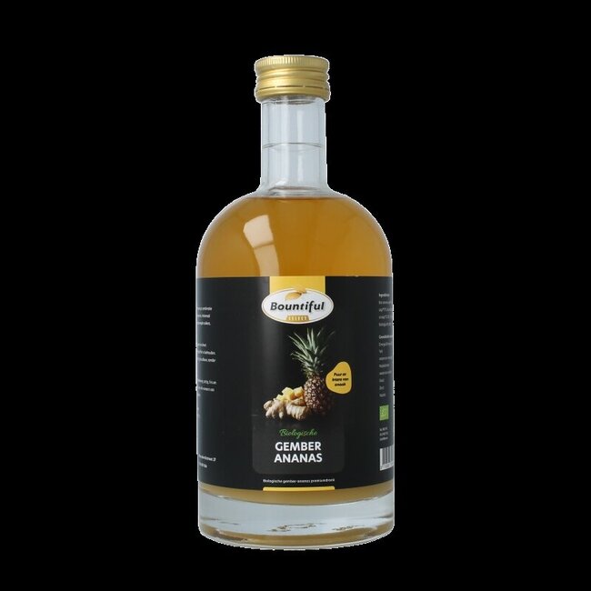 Gember sap ananas bio 500 Milliliter