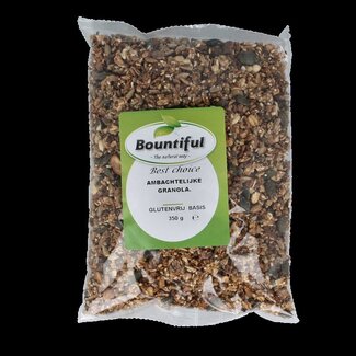 Bountiful Ambachtelijke granola glutenvrij bio 350 Gram
