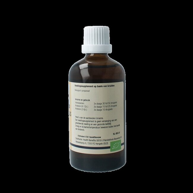 Sambucus nigra bio 100 Milliliter
