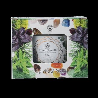 Gemstone candle inner growth mint 256 Gram