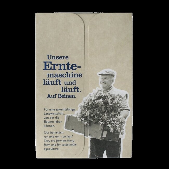 3 Munt-thee bio 18 Zakjes