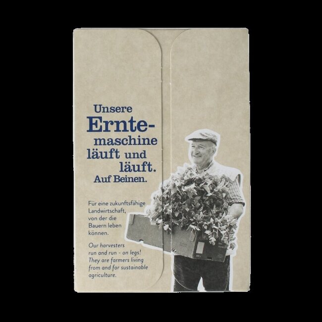 Zwarte chai thee bio 18 Zakjes