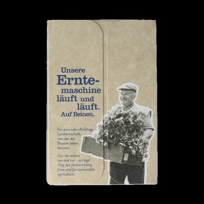 Spicy chai thee bio 18 Zakjes