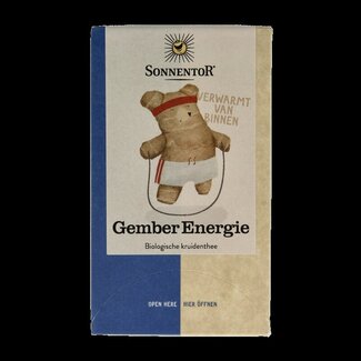 Sonnentor Thé au gingembre énergie bio 18 sachets