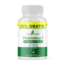Livinggreens Probiotica 7 Pack Ahorro 240 Cápsulas