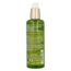 Primavera Aceite corporal Sweet Love 100 mililitros