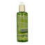 Primavera Aceite corporal Sweet Love 100 mililitros