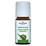 Jacob Hooy Eucalyptus radiata olie 10 Milliliter