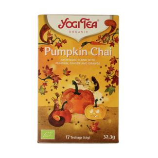 Pumpkin chai bio 17 sachets