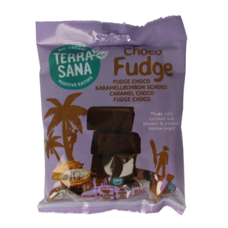 TerraSana Organic chocolate fudge 150 Gram