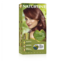 5C Light chestnut copper 170 Millilitres