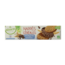 Bisson Galletas de cereales con cobertura de chocolate con leche bio 140 gramos