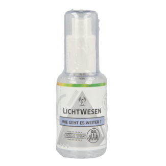 Lichtwesen Lichtwesen Was nun? Energiespray 30 Milliliter