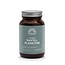 Mattisson Phytoplancton végétalien nannochloropsis 60 gélules végétales