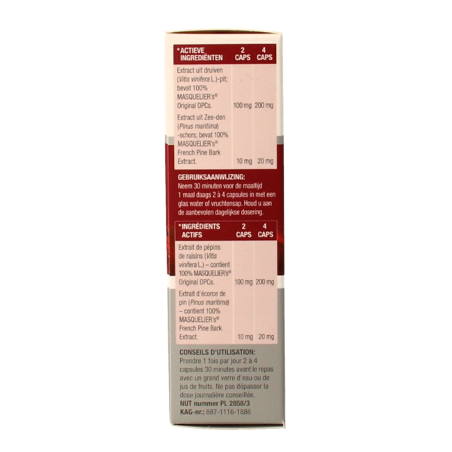 Masqueliers Anthogenol 60 Kapsułek