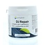 Springfield DJ Repair Glutamine/NAC/Zinc 50g