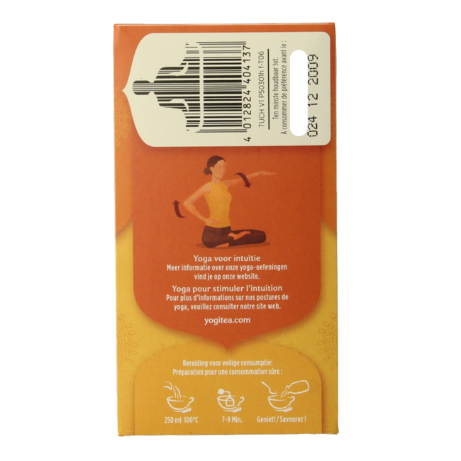 Turmeric chai tea organic 17 bags