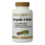 Golden Naturals Ashwagandha & rhodiola 60 Cápsulas vegetarianas