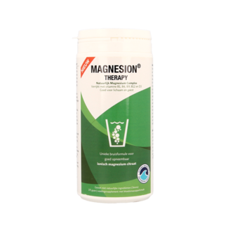 Magnesion Magnesion Therapy 175 gramos