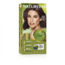 Intens 4.32 Kastanie 170 Milliliter