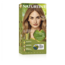 7.34 Bright Hazelnut 170 Millilitres