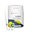 Springfield Cequre 500 mg vitamina C 180 cápsulas vegetales