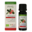 Physalis Wintergreen bio 10 Milliliter