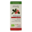 Physalis Wintergreen bio 10 Milliliter