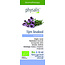 Physalis Tomillo amarillo bio 10 mililitros
