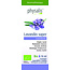 Physalis Lavendin bio 10 mililitros