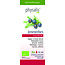 Physalis Organic Juniper Berry 10 Millilitres