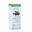 Physalis Pino silvestre bio 10 mililitros