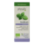 Physalis Organic Basil 10 Millilitres