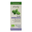 Physalis Organic Basil 10 Millilitres