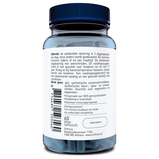 Supporto Cerebrale 60 Capsule