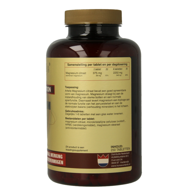 Artelle Magnesium basic 250 Tabletten