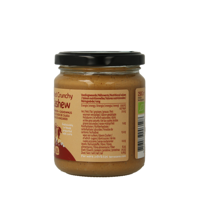 TerraSana Purée de noix de cajou croquante au sel de l'Himalaya bio 250 g