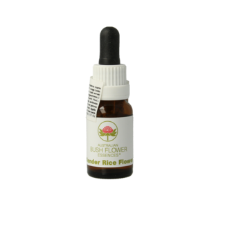 Australian Bush Australian Bush Slender rice flower 15 Milliliter