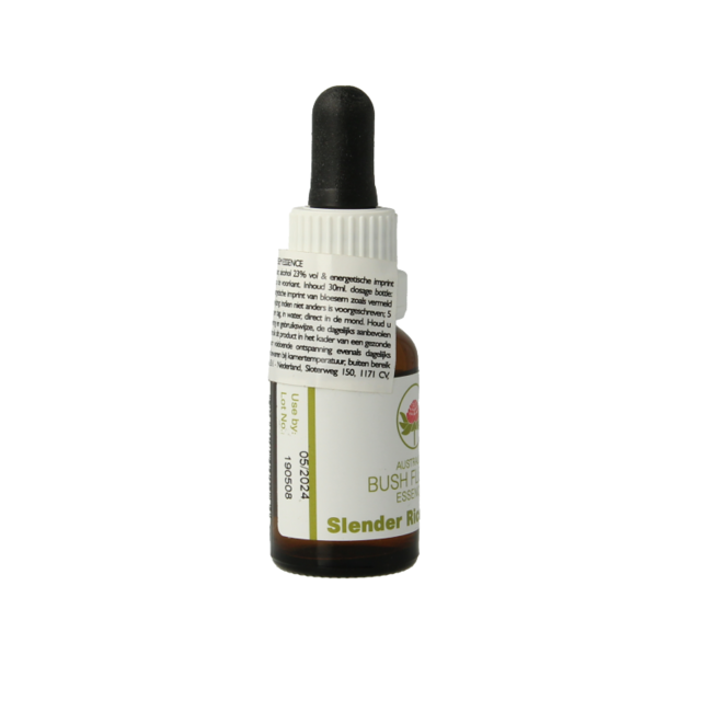 Australian Bush Slender Rice Flower 15ml