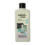 Shampoo for greasy hair 500 Millilitres