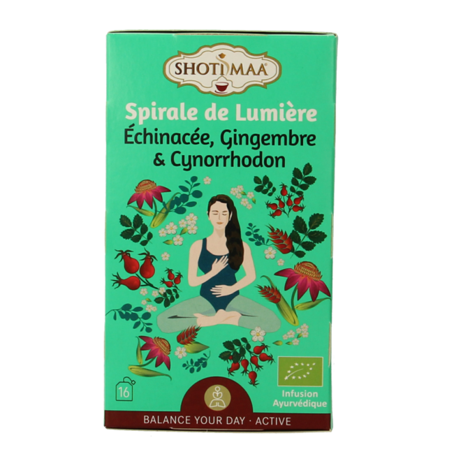 Shoti Maa Lifespring echinacea, zenzero e rosa canina bio 16 Bustine