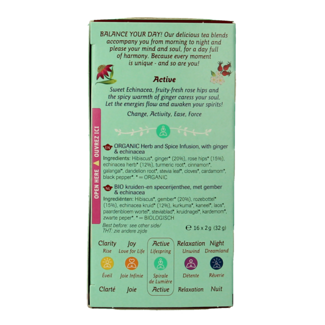 Shoti Maa Lifespring organic echinacea, ginger & rosehip - 16 tea bags