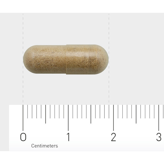 834 Bacopa (brahmi) 150mg 60 Cápsulas vegetarianas
