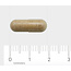 834 Bacopa (brahmi) 150mg 60 Cápsulas vegetarianas