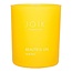 Joik Organics Scented Candle beautiful vegan 150 Gram